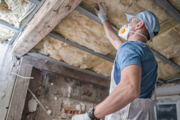 Best Eco-Friendly Insulation in Haverhill, FL